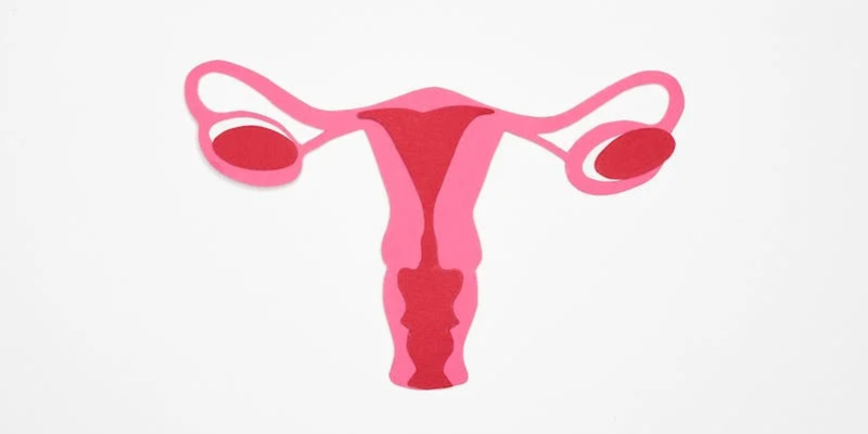 Graphic Art of a Woman's Ovary